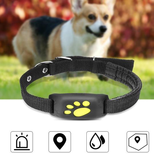 Localizador GPS para Mascotas