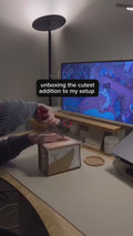 1.mp4
